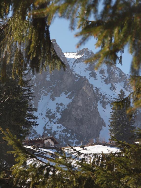 Apartamento Alpenresidenz Chiemgau Schleching Exterior foto