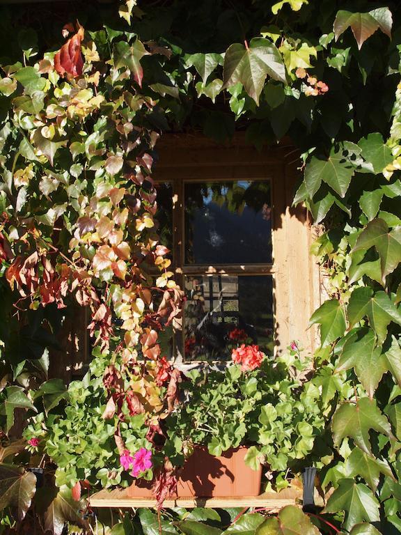 Apartamento Alpenresidenz Chiemgau Schleching Exterior foto